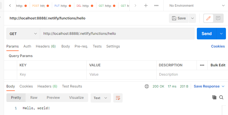 Netlify local endpoint URL